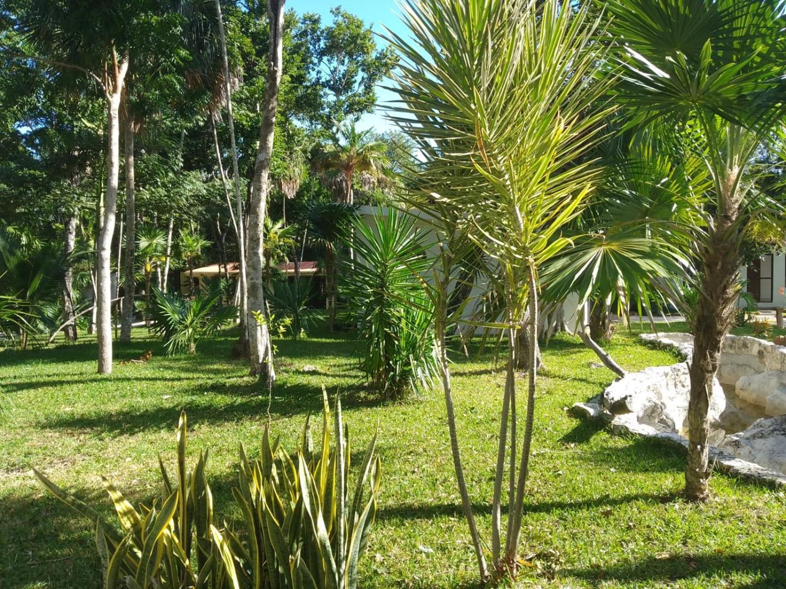 Kerubin Dorado Aparthotel Akumal Eksteriør bilde